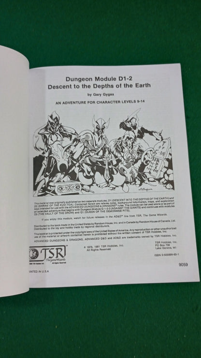 1e D1-2 Descent into the Depths of the Earth Advanced Dungeons Dragons AD&D 1st